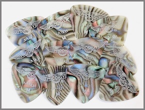 Medium 12 x Abalone Shell